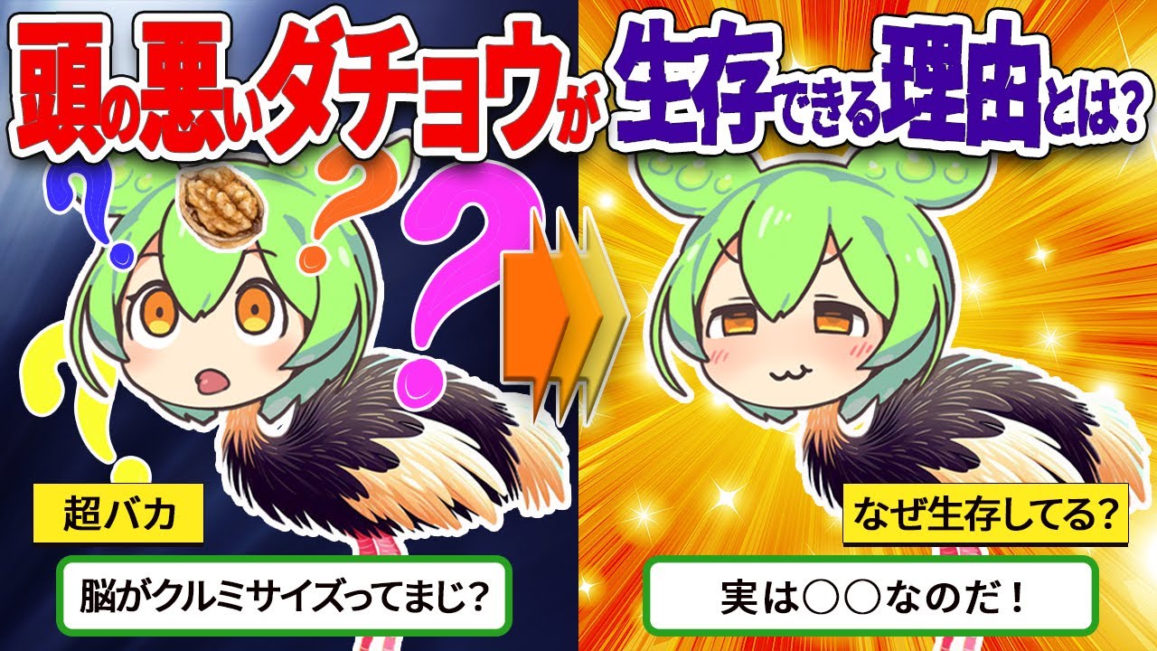 ダチョウの頭はバチクソ悪いのになぜ生存できているのか？【ずんだもん ゆっくり解説】