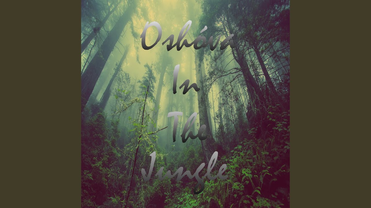 In The Jungle