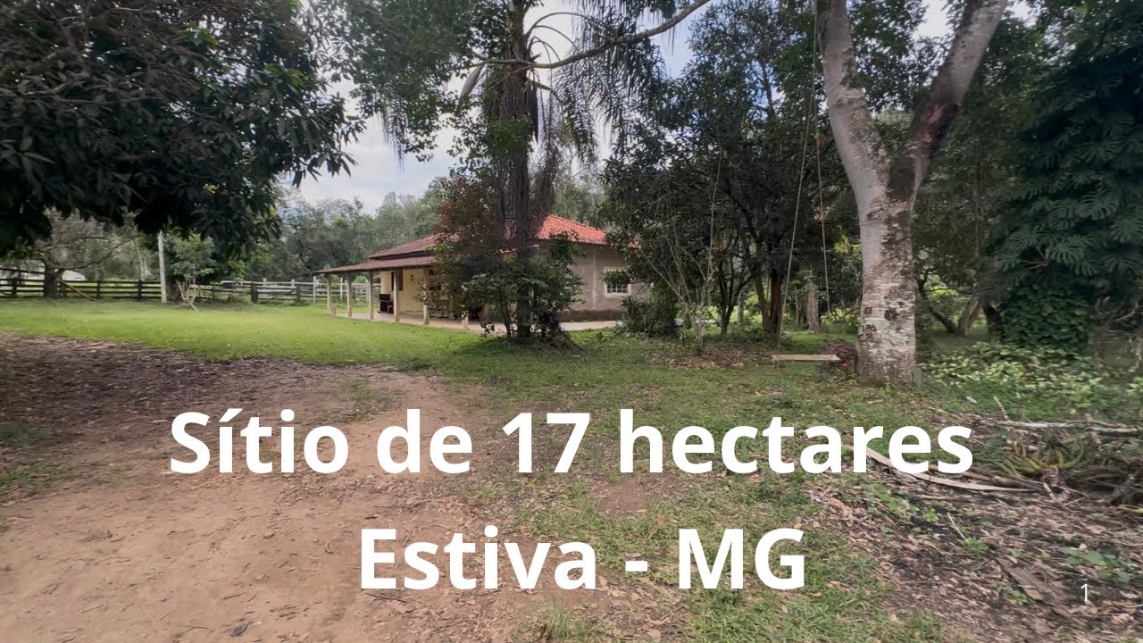 Com Casa 🏠 Curral Ribeirão e Pastagem próx a Cidade.