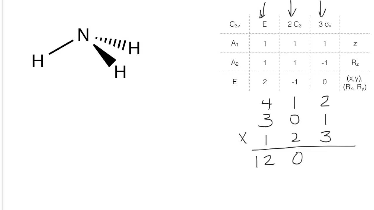 Ammonia group theory example for IR