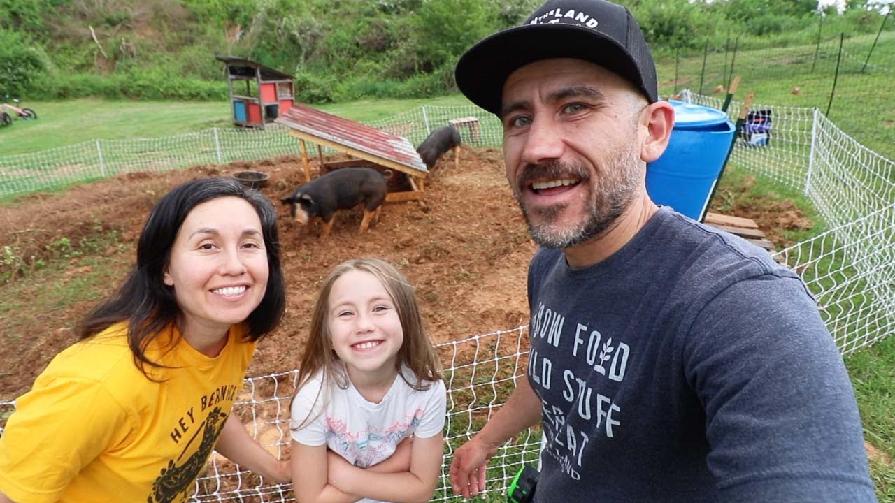 What 2 PIGS did to my BACKYARD in One Week (Surprised!)