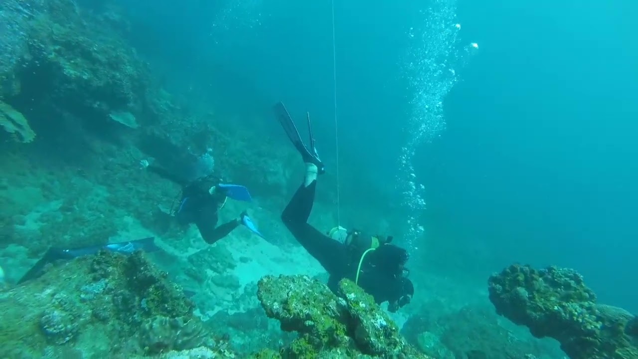 Bluespotted Ribbontail ray@Sodwana Bay