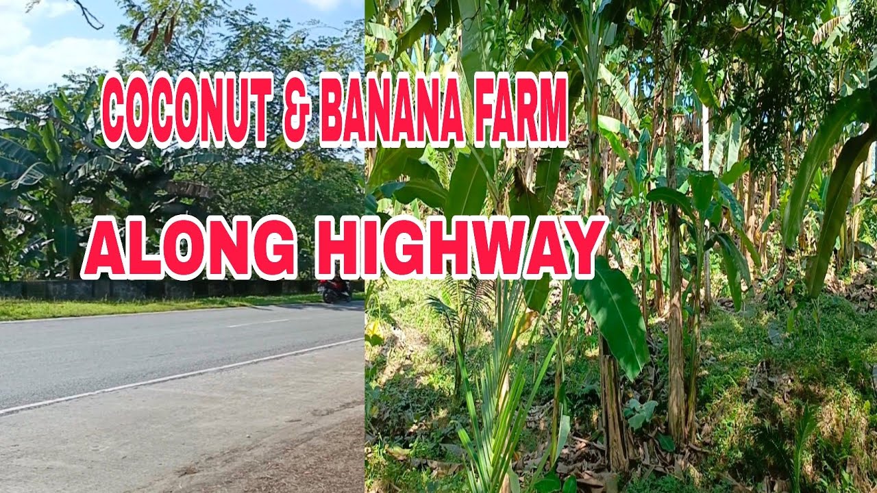 #786 #BACK TO BACK ROAD #FARM LOT
