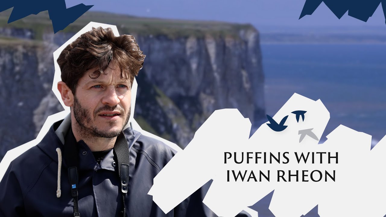 Going wild with Iwan Rheon to see puffins and seabirds  |   Save Our Wild Isles