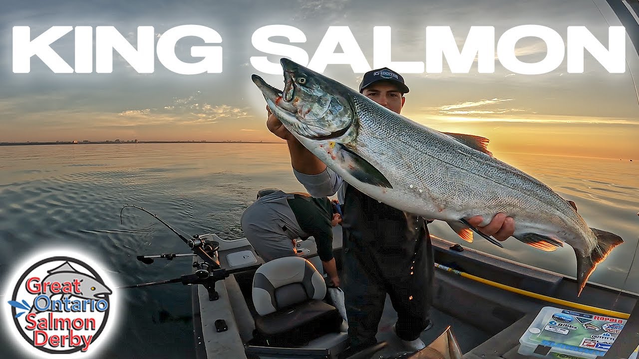 TROLLING for KING SALMON 2024