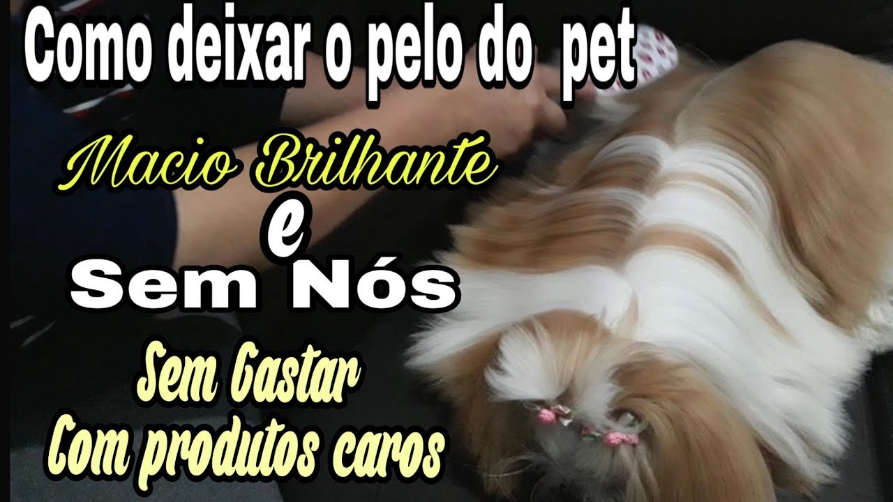 Pelos lindos macios brilhantes e sem nós ( Sem produtos  caros)