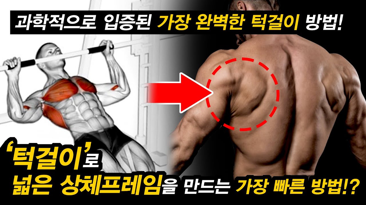 일반인이 '턱걸이(풀업)'으로 '상체 프레임' 넓히는 가장 빠른 방법!?
