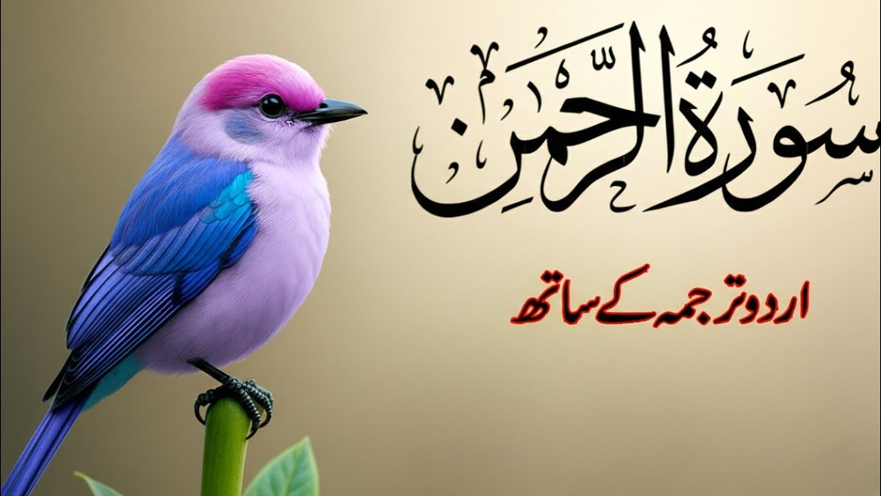 Surah Ar-Rahman with Urdu Translation | Heart Touching Quran Recitation | Episode 10 | Q Quran Tv
