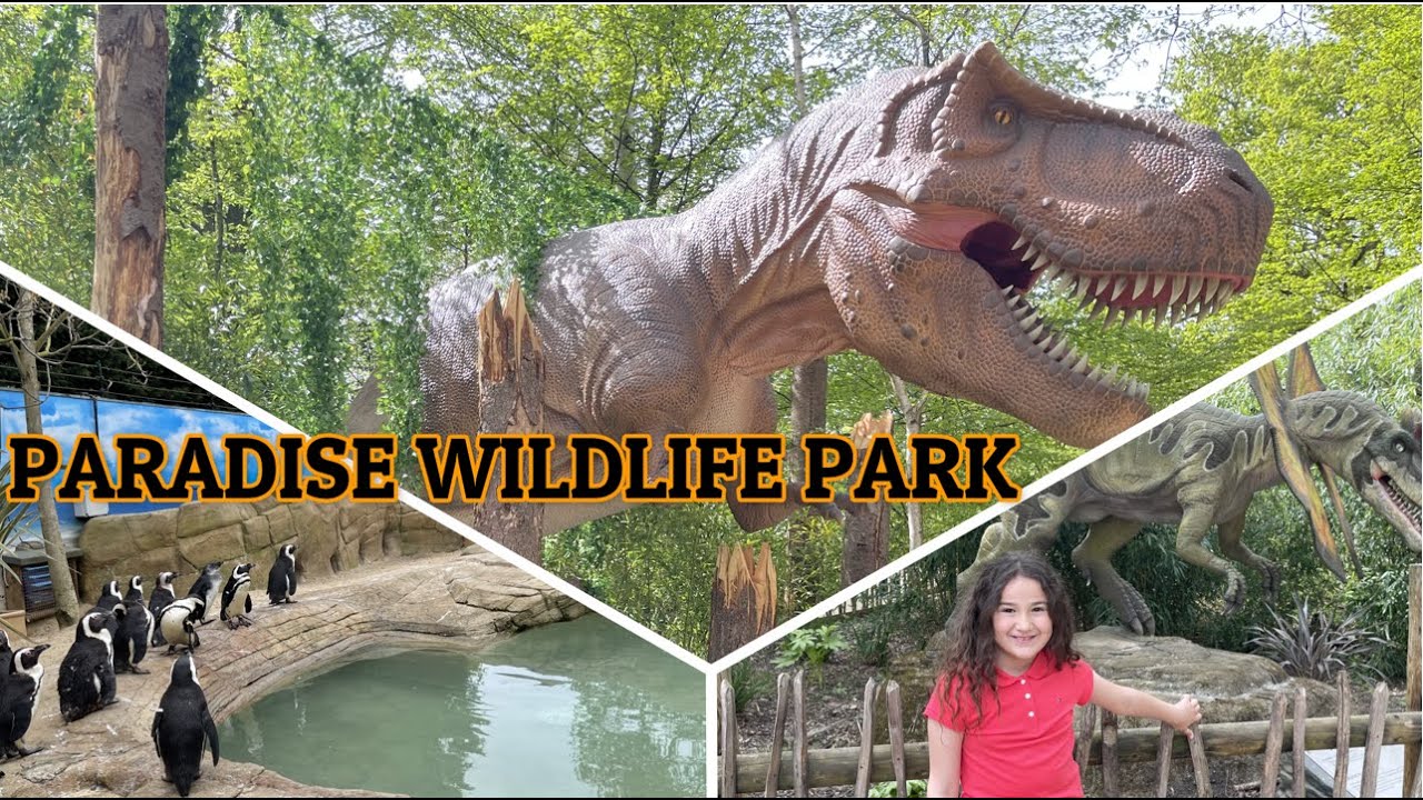 Paradise Wildlife  Park ! World of Dinosaurs 🦕🦖🦕