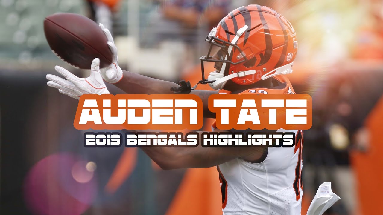 Auden Tate 2019 Bengals Highlights ᴴᴰ