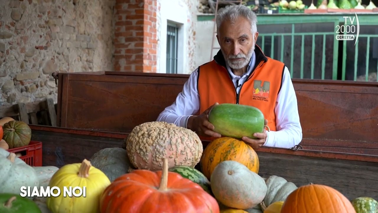 Siamo Noi (TV2000) - Piozzo (CN) il “paese della zucca”