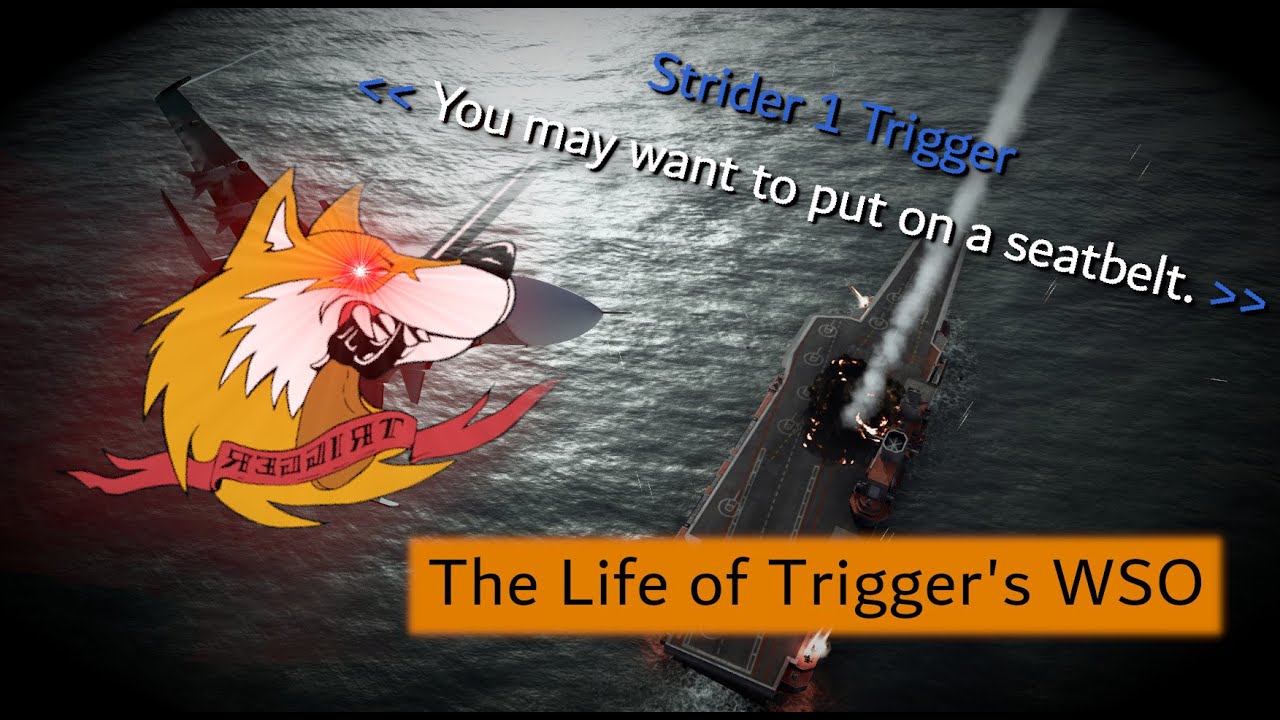 Ace Combat 7 | The Life of Trigger's WSO