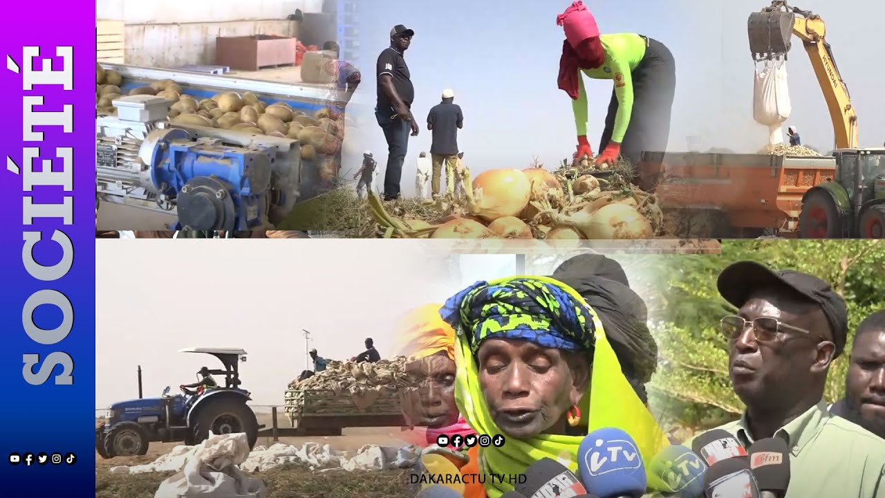 Mbane/ Swami-agri : Un modèle d’agriculture moderne qui transforme le visage de Mbane et la vie des