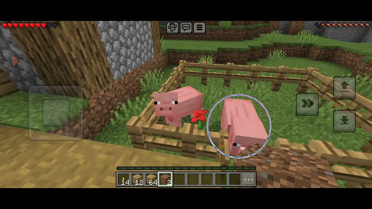 Minecraft oynuyorum