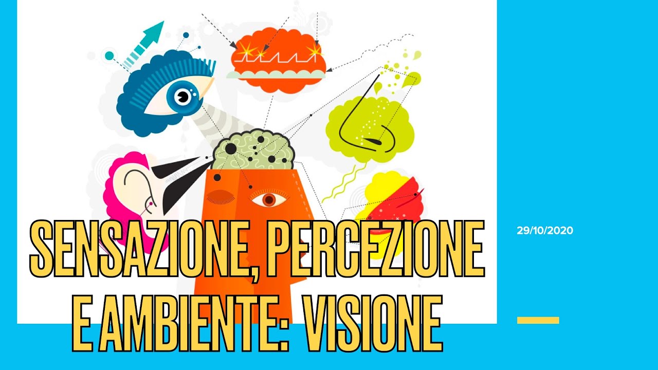 Psicologia Generale LM - LICUS - Lezione V (29 ottobre 2020) - La visione