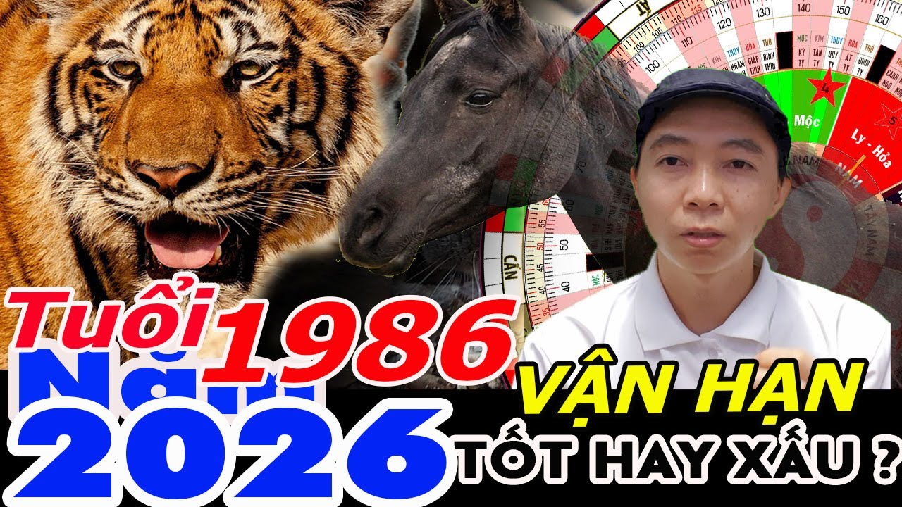 Xem Vận Hạn Tuổi Bính Dần 1986 năm 2026 RA SAO ?  Phong Thủy 100 Năm