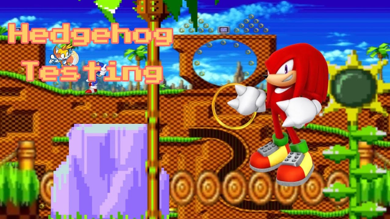 Hedgehog  Testing   Gameplay