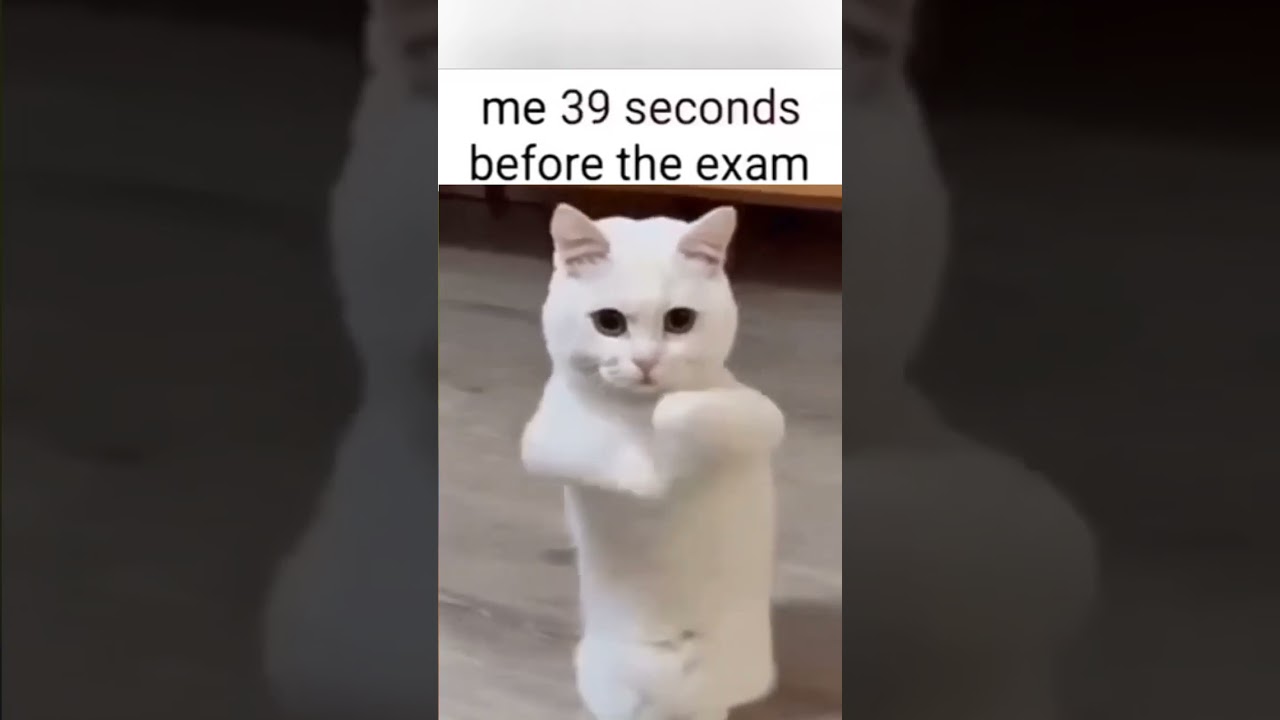 ME BEFORE EXAM DAILY ROUTINE 🤪 #relatable #reality #funny