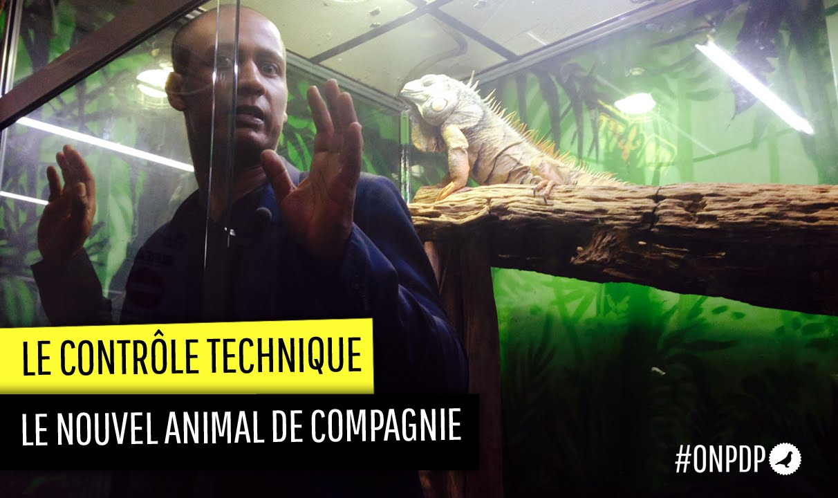 Les NAC (Nouveaux Animaux de Compagnie) : contrôle technique.