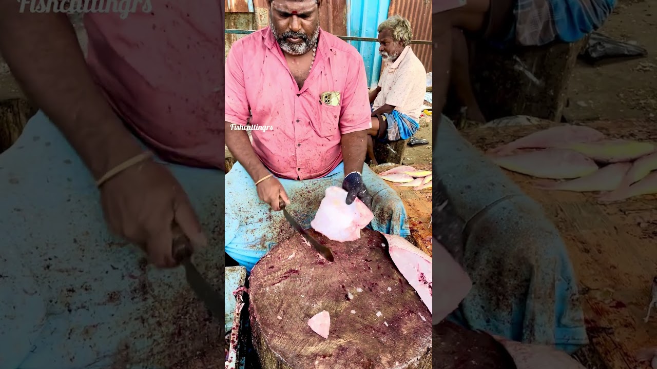 Koduva fish cutting video/fishcuttingrs#fish #kasimedu #fishcuttingrs