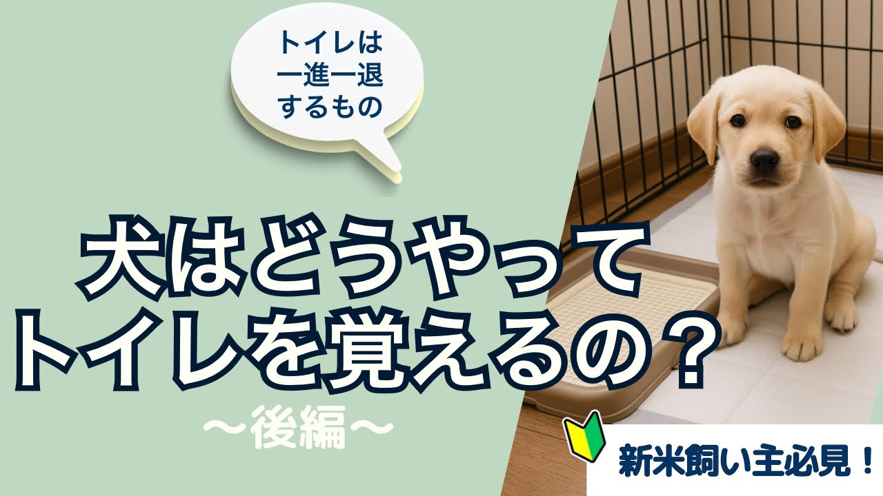 2025年11月12日