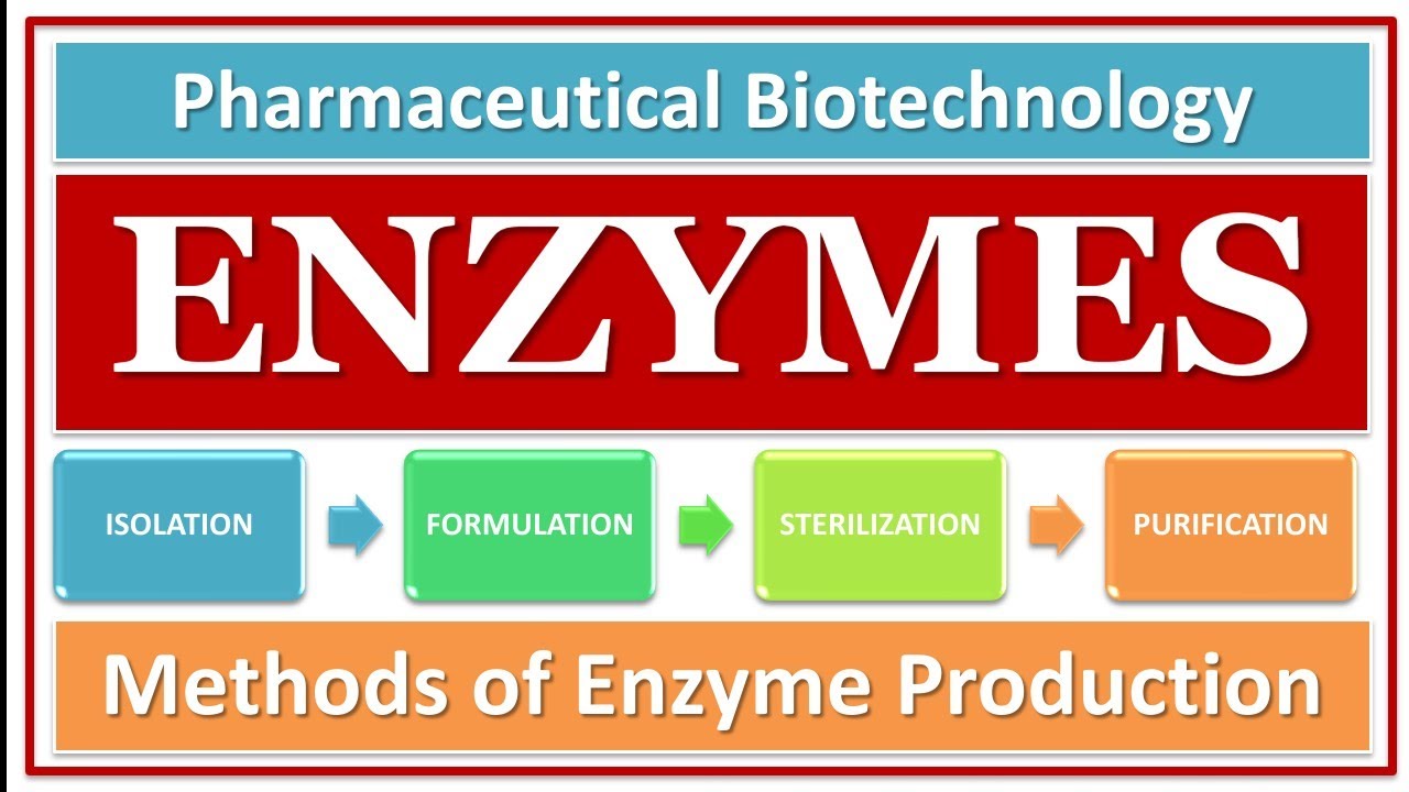 ENZYMES | METHOD OF ENZYME PRODUCTION | GENERAL CONSIDERATION | CULTURE MEDIA | FERMENTATION