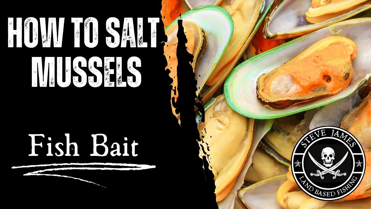 HOW TO SALT MUSSELS (BEST Fish Bait)
