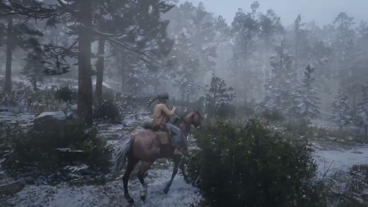 Red Dead Redemption 2_20260106014204