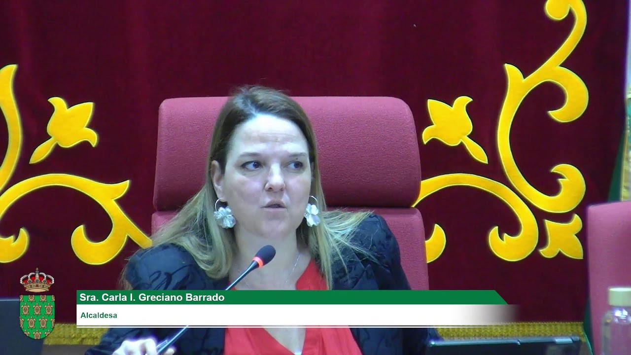 Sesión plenaria - Extraordinaria, 29 de enero de 2026