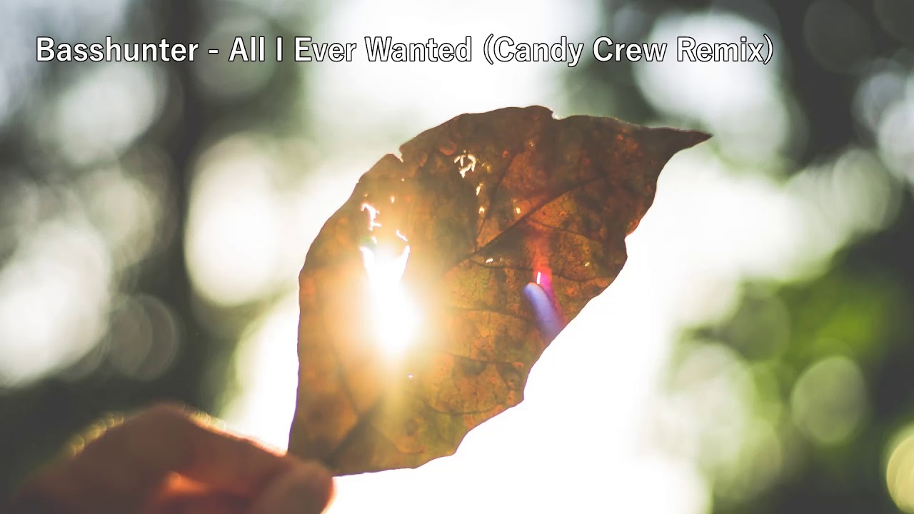 Basshunter - All I Ever Wanted (Candy Crew Remix) (!!!DJ Splash!!!)