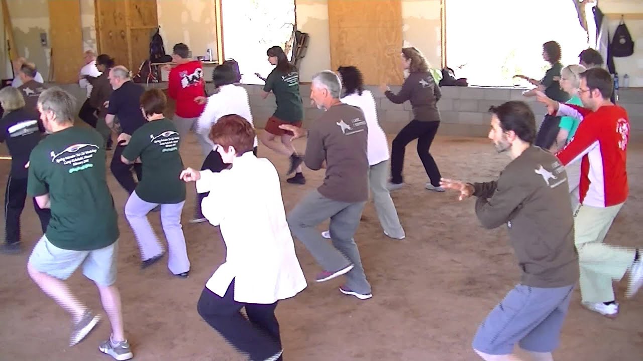 Dong Family Fast Tai Chi form