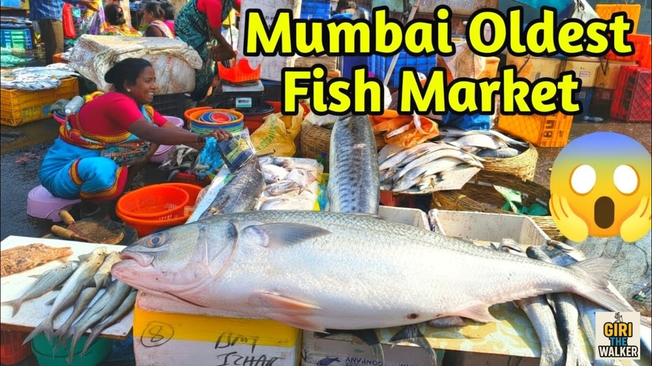 Unseen 😱 Mumbai Biggest & Oldest Fish Market🔥 | Urban India 🇮🇳 | Giri The Walker