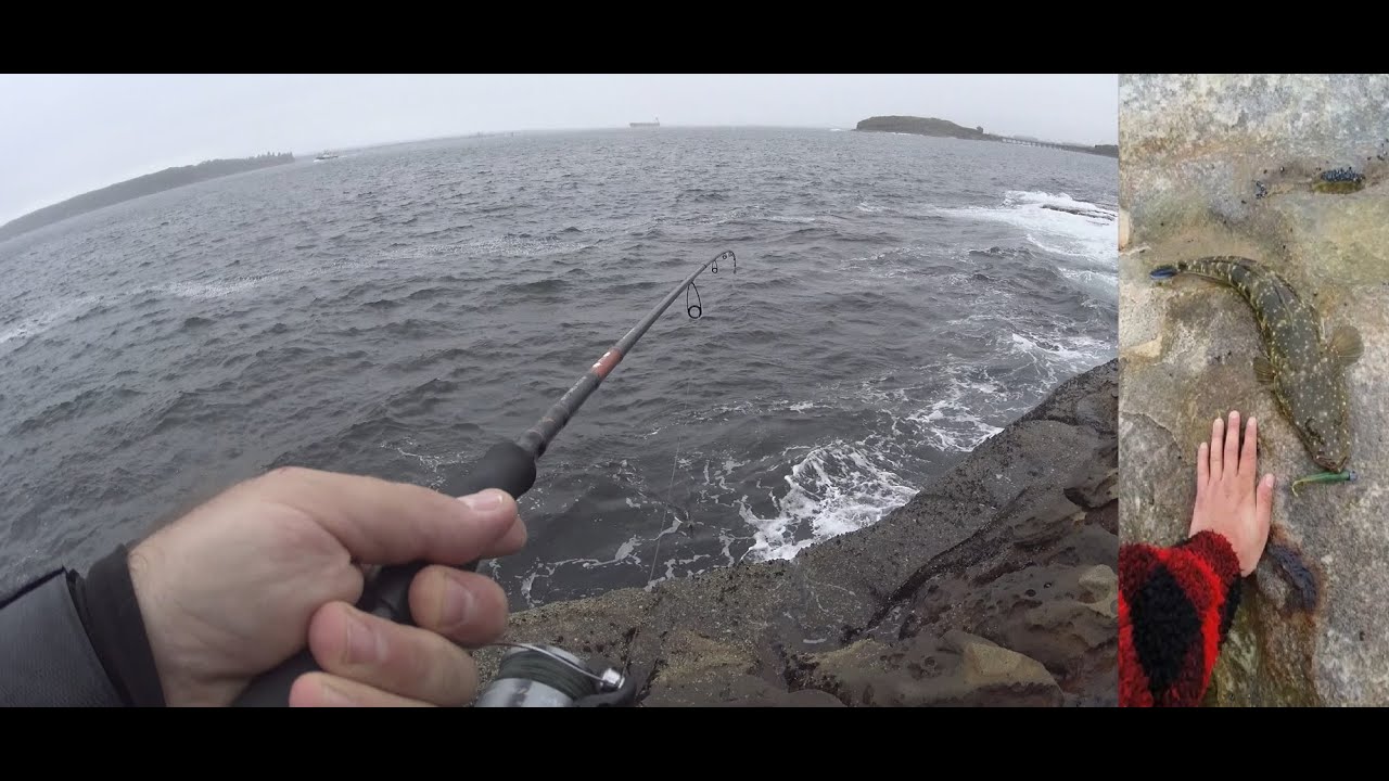 Squid Fishing for Kingies & Monster Flathead | Fishing Sydney La Perouse
