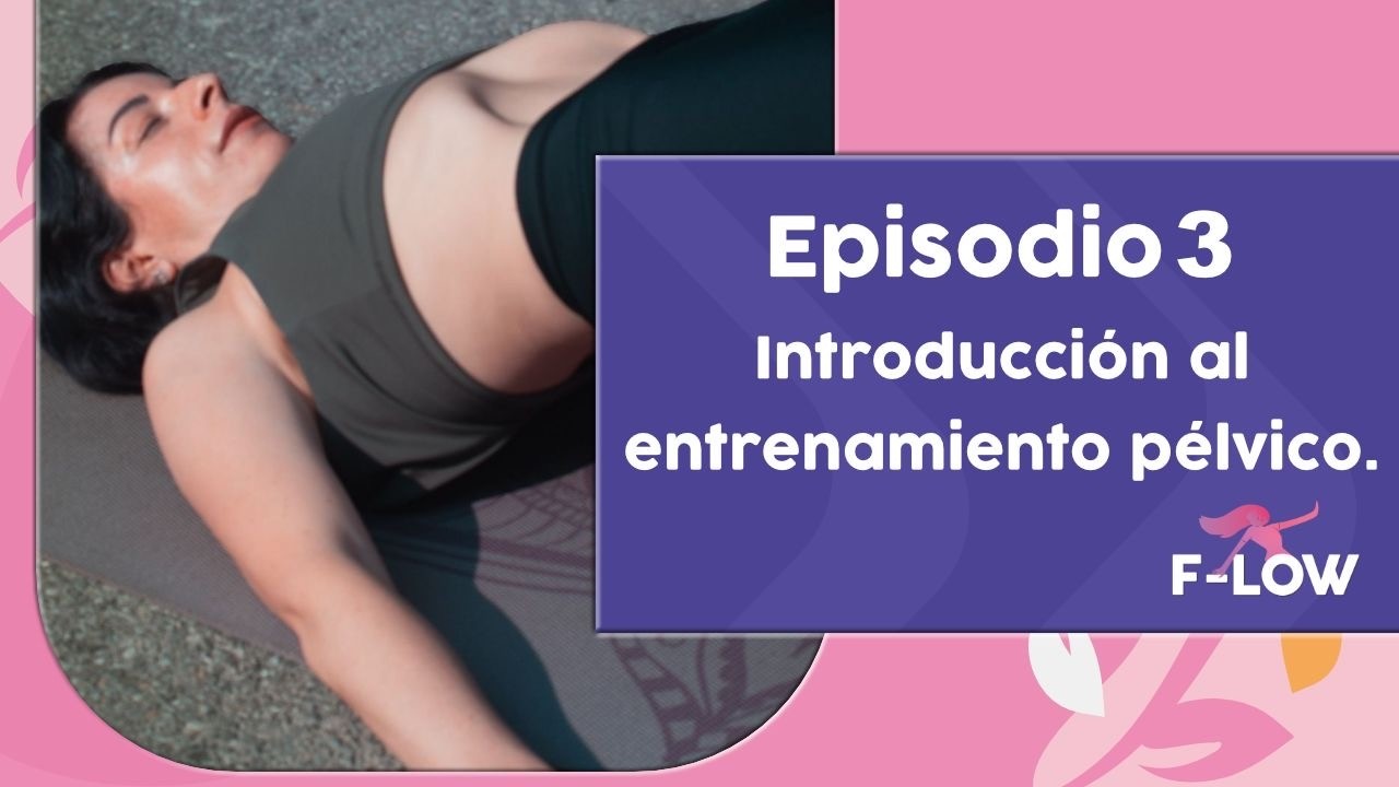 Intro al entrenamiento 🏋️‍♀️ pélvico. Episodio 03