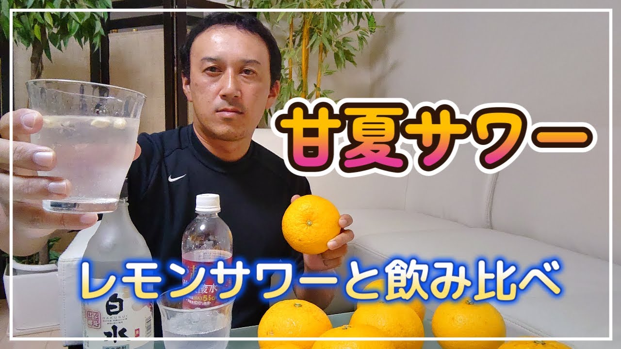 甘夏サワーを作りレモンサワーと飲み比べてみたがうまく表現できずグダグダになった