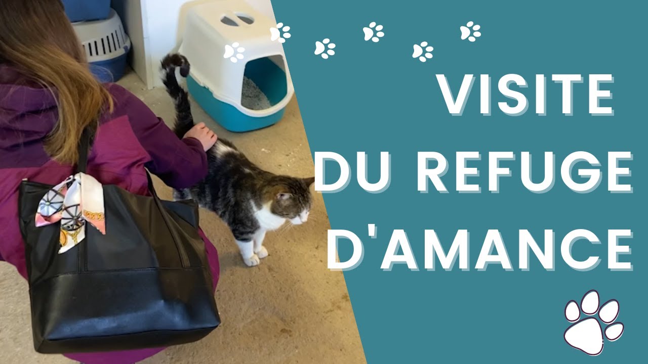 Je vous emmène visiter le refuge d'Amance (54) !