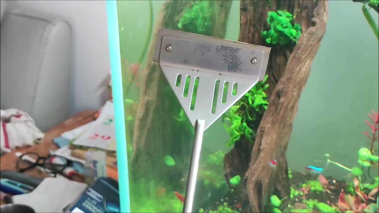 Grattoir &agrave; Algues pour aquarium  (craper )