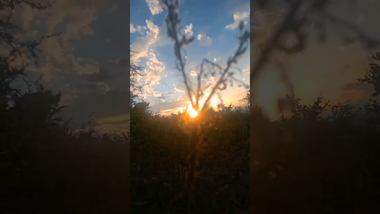 Sun rise/Sunsets short video .Beautiful sunset scene.