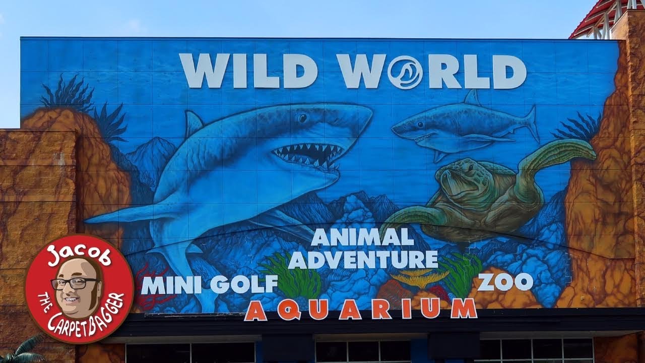 Wild World - Playing with Dingoes and Lemurs