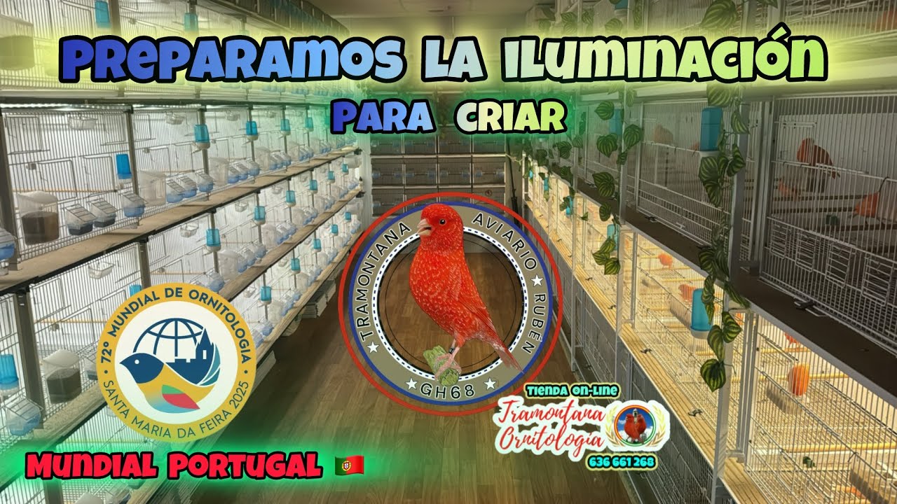 Preparamos la iluminación para CRIAR !!