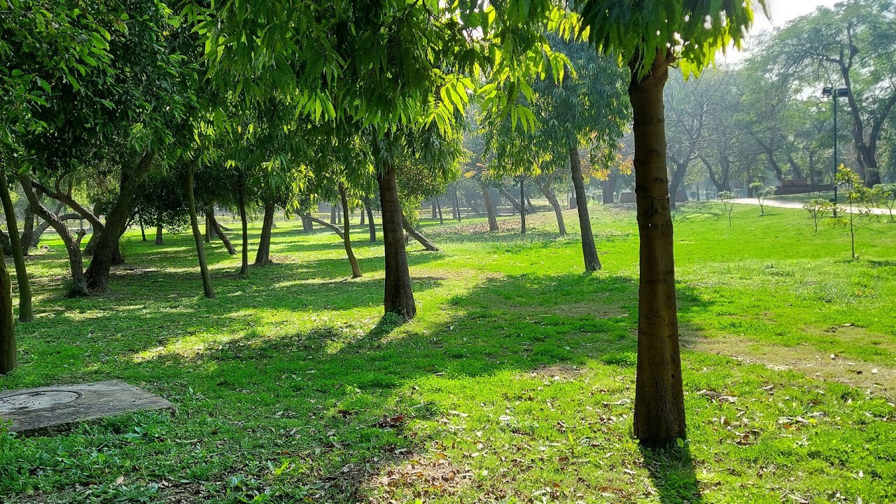 Rajghat Walking Tour Part 2 | Silent Walk | Nature Sounds | Rajghat Delhi | 4K