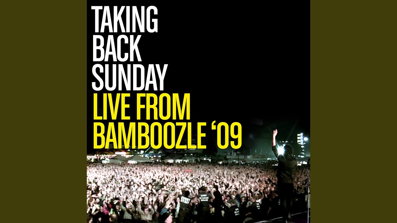 MakeDamnSure (Live At Bamboozle, East Rutherford, NJ / 2009)