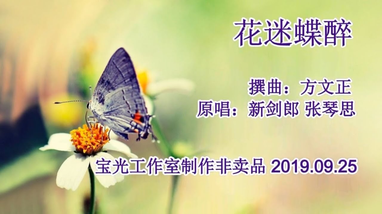 花迷蝶醉_音乐版