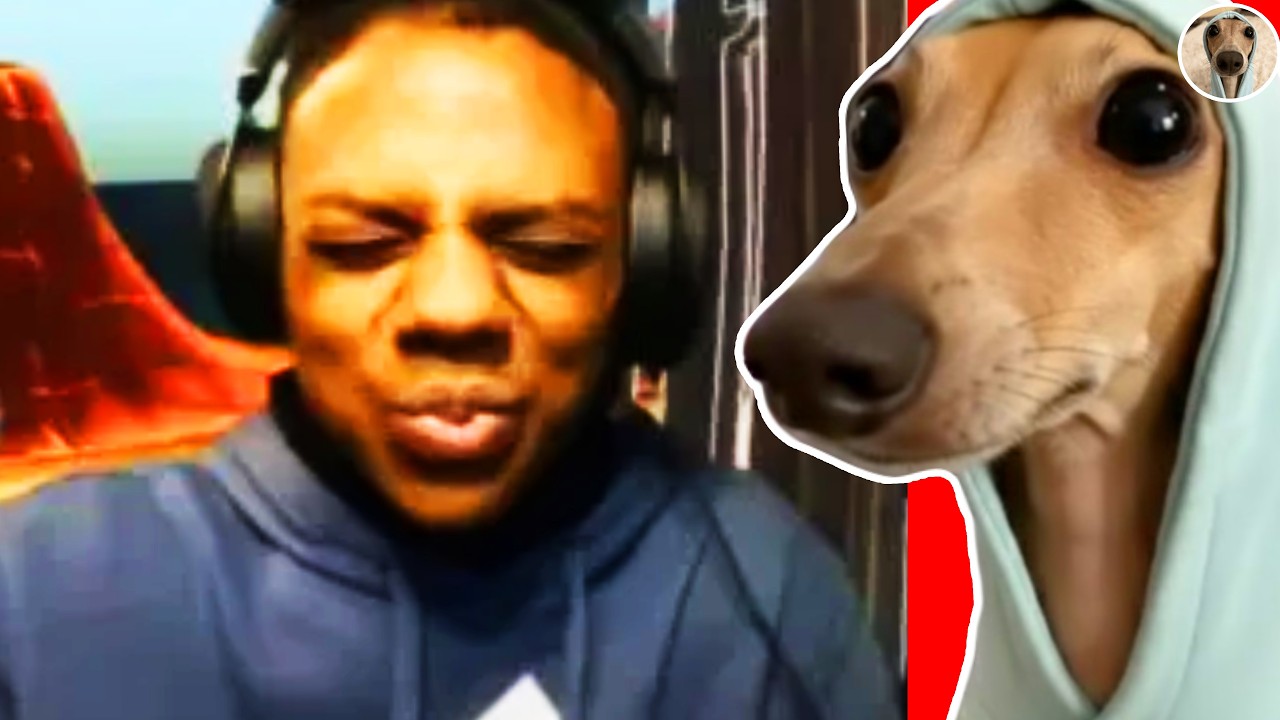People LAUGHING In THE WORST MOMENTS! 🤣😭