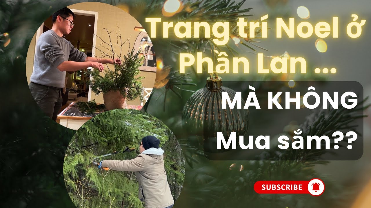 Tập 5 | Mang rừng thông vào gian bếp (Bringing the Pine Forest into My Kitchen) | Cuộc sống Phần Lan