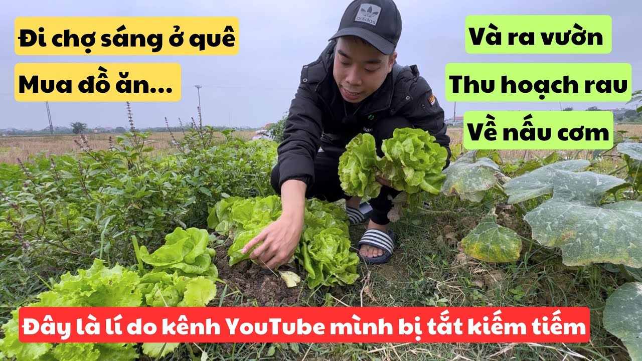 Vlog26 | Đi Chợ Sáng Ở Quê Về Nấu Cơm Bữa Trưa | Đây Là Lí Do Kênh YouTube Mình Bị Tắt Kiếm Tiền