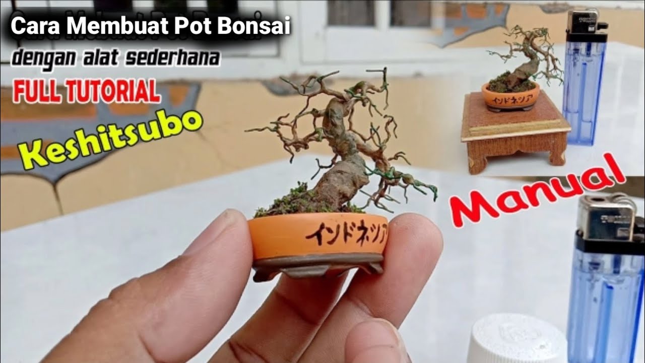 Cara Membuat Pot Bonsai Super Mini