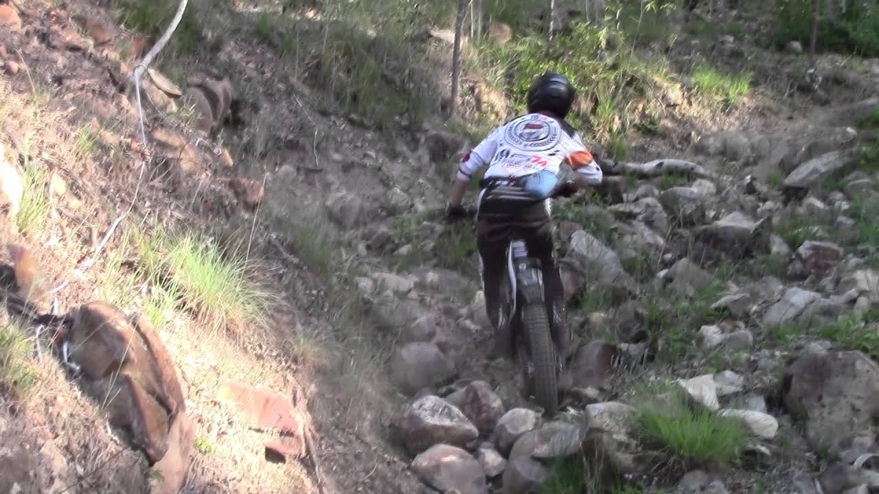 MORE CLUBMAN SECTIONS - WESTERN DISTRICTS TRIALS CLUB SUMMER PRACTICE