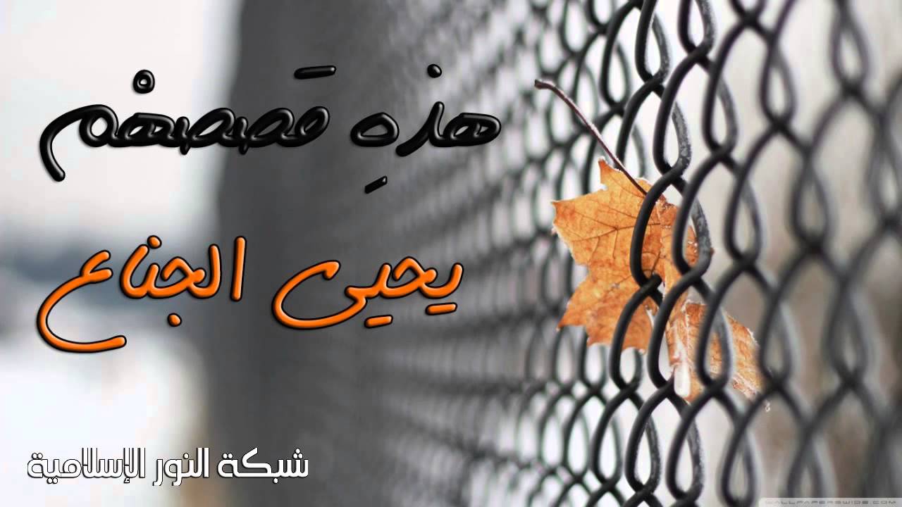 هذي قصصهم | للشيخ يحيى الجناع