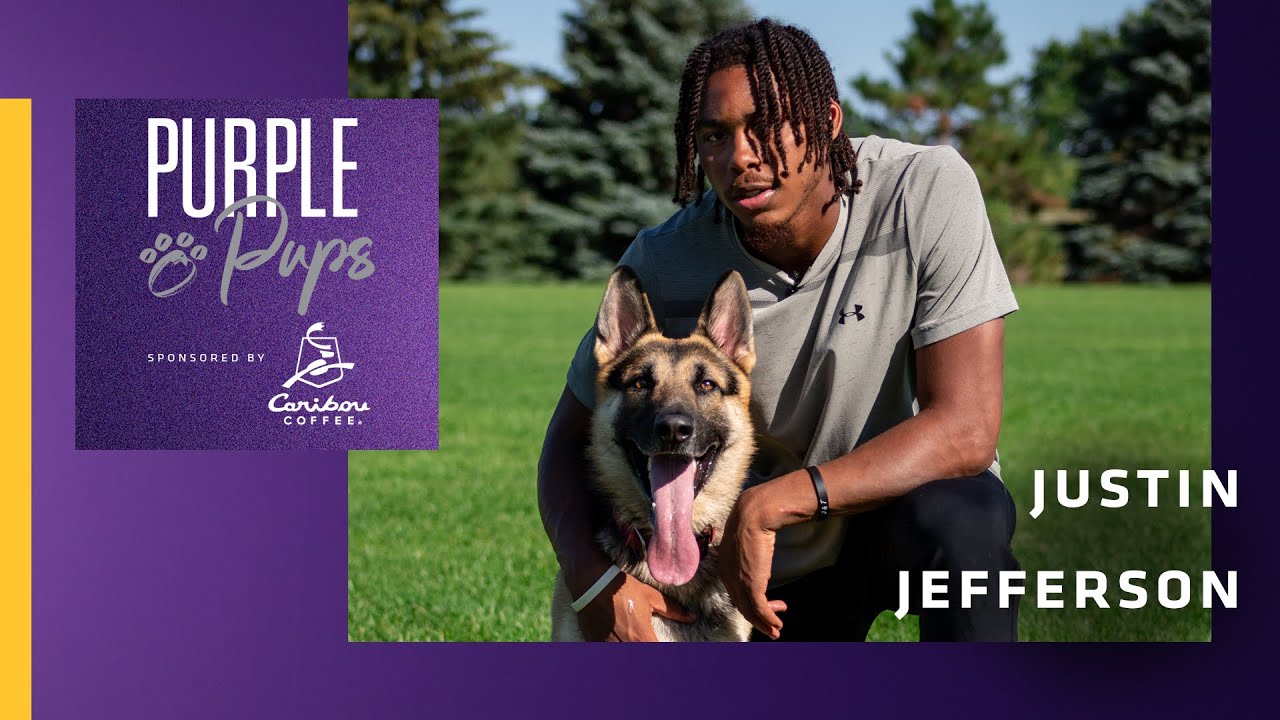 Purple Pups Featuring Justin Jefferson & Apollo